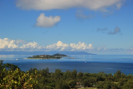 Fig. 1. Cousin Island – in the foreground as seen from the neighbouring island of Praslin – is the home of a population Seychelles warblers that has been subject to detailed studies of behaviour, demography and life history since the 1980’s. Even though there are other islands with suitable habitat within flying distance, there is no inter-island dispersal. [Frank Groenewoud]